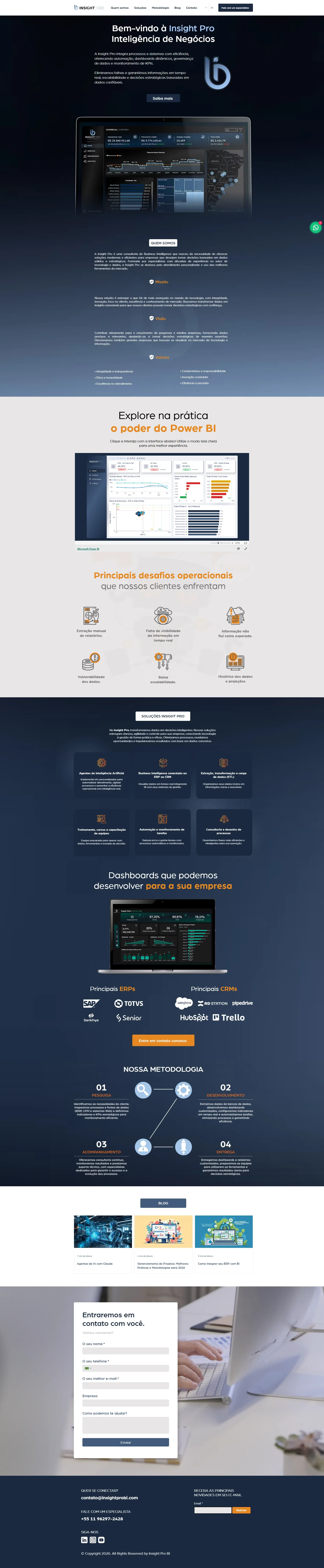 Insight Pro BI — preview
